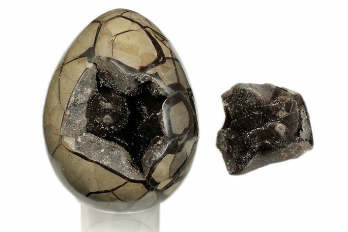 7.8" Septarian "Dragon Egg" Geode - Removable Section
